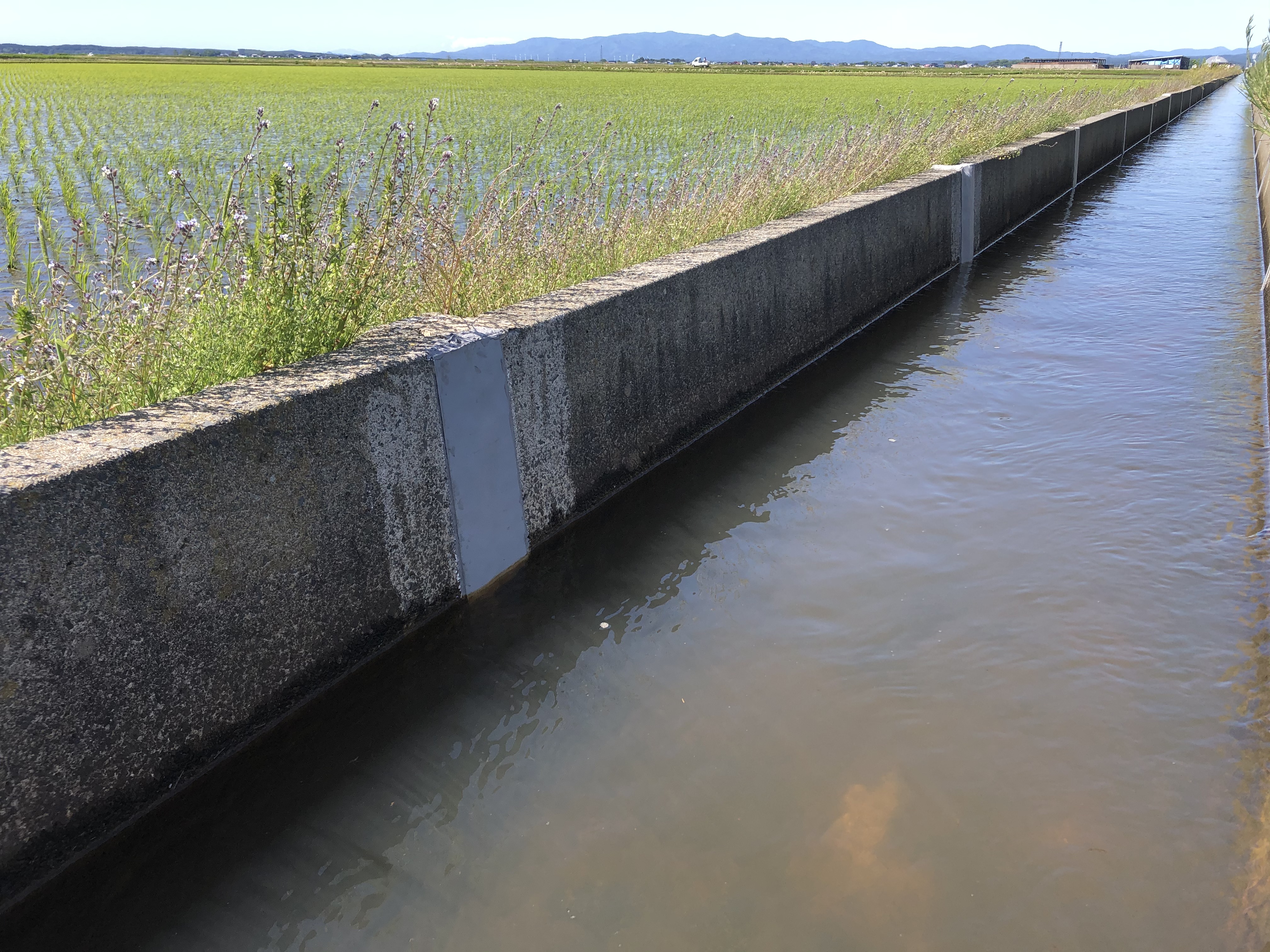 Hyperシンプルシート工法